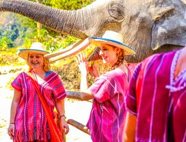 (Morning) Half Day Elephant Sanctuary at Mae Wang Area