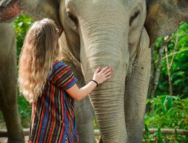 Elephant Sanctuary in Phuket: Morning Visit