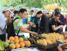 All You Can Eat: Tasting Thai Fruits Fresh from the Farm! 