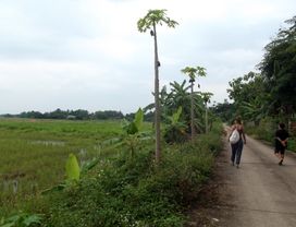 Local Life in Chiang Rai: Learn How the Locals Eat and Live
