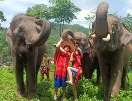 Eco-Friendly Elephant Sanctuary and Trekking with the Elephants on a Natural Trails 