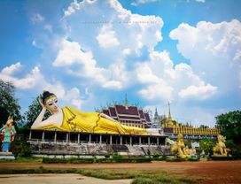 Roam in Phrae