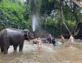 Elephant Care and Sticky Waterfall