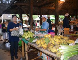 Clean, Organic & Local: Experience Chiang Mai Like You've Never Before 