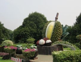 Relax & Enjoy Eating Fresh Thai Fruits at a Farm