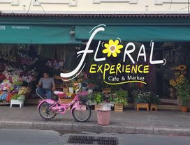 1 Day with a Flower Lover at Flower Museum & Trendy Cafes