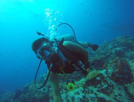 Koh Tao: A Small Paradise on Earth 