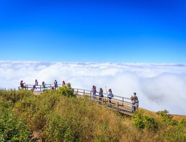 Doi Inthanon: Hike on the Highest Spot of Thailand