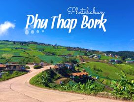 Explore a Cabbage Farm with Unseen Mosaic Temple