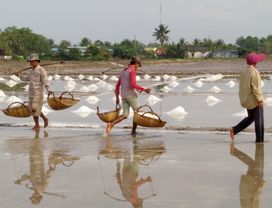 Kampot Highlights Tour (Morning) 