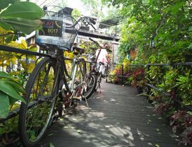 Let's Go Cycling for a Day in Bang Kra Chao, Bangkok's Green Lung