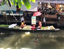 Bangkok Private Tour: Khlong Lat Mayom Floating Market & Orchid Farm