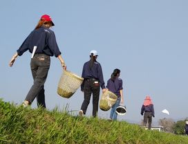 The Wholesome on Tai Trip for the New Local Life.