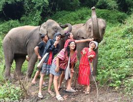 Half Day Elephant Care  (Joined Tour)