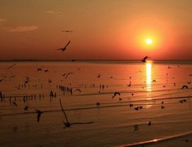 Iconic landmarks of Samut Prakarn province