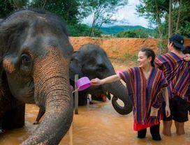 Elephant Jungle Sanctuary in Phuket : Afternoon Visit