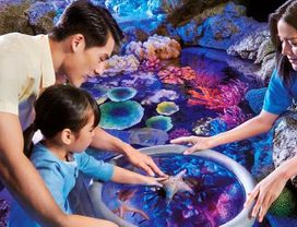 Sealife Bangkok & Madame Tussauds Bangkok Bundle with Round Trip Transfer