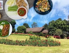 Doi Tung Royal Villa & White Temple with Signature Northern Meal