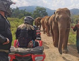 Whitewater Rafting, Zip Lining & ATV Riding in Chiang Mai
