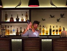 Evening Stylish Cocktail Experience