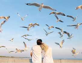 Samut Prakan from BKK: Feed Seagulls & Join Floating Temple Fair