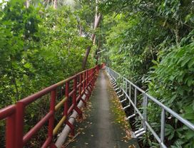 Exploring Bangkok's Green Lungs on a Bike and Taste Local Food at Floating Market