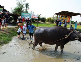 Suphan Buri Day Trip at Buffalo Village and 100 Years Market!  