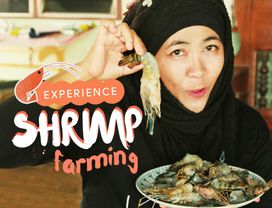  Visit the Largest Buddha Sculpture and Enjoy Cooking at Local Shrimp Farm 