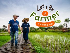 Let's Be a Farmer, Experience the Local Farming in Chiang Mai
