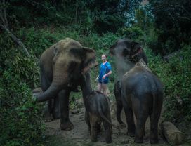 Chiang Mai: Ethical Elephant Care & Coffee Workshop in Karen Hill Tribe