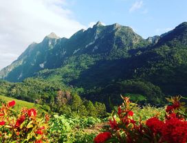 Escape the Chaos on a Local Bus to Chill at Chiang Dao Mountain 