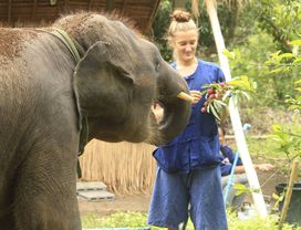 Be an Private Elephant Caretaker & Climb the Sticky Waterfall!
