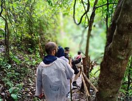 2 Hours Trekking Pha Dok Siew Trail at Doi Inthanon National Park in Chiang Mai