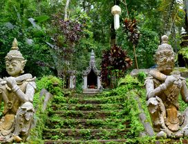 [08.00 AM] Chiang Mai City Tour : Unveiling Northern Temple Charms (Half Day)