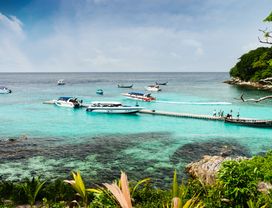 Racha (Raya) and Coral Island Full Day Trip with Speed Boat