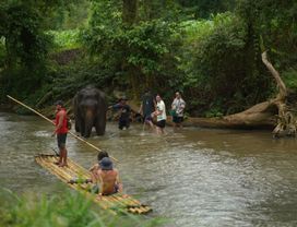 Elephant Habitat Feeding Entry& Bamboo Rafting