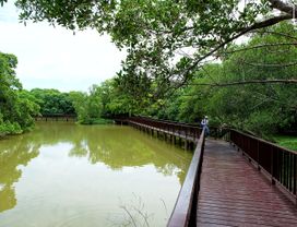 Floating Market & Botanic Garden in Bangkok's Green Space