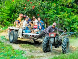 Let's See a Local Life by Thai Boat, Thai Tractor and Visit Local Floating Market