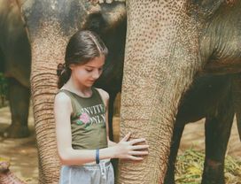 Feed and Shower at Elephant Sanctuary in Phuket : Morning Program