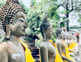 Amazing Ayutthaya Trip with Two Local Experts ! 