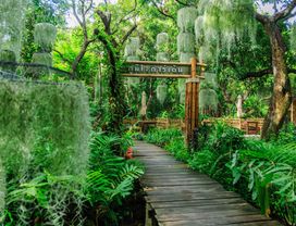 Green Oasis – Hidden Gardens of Bangkok