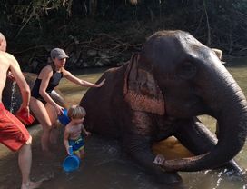 Private Elephant Experience 