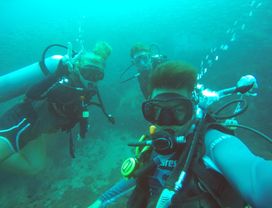 Explore Under Waterworld by Scuba Diving in Koh Tao