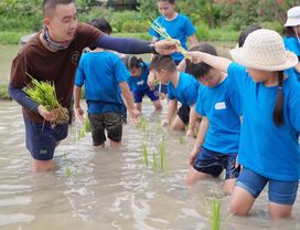 Let Me Be "A Farmer” for One Day at Wat Bang Na