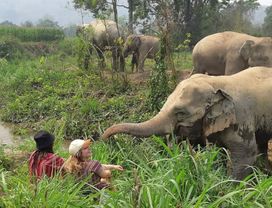 Elephant Sanctuary🐘Bamboo Rafting🛕Silver Temple 