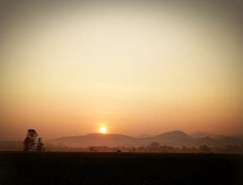Being a Farmer in Organic Village 