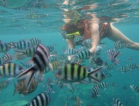 Koh Tao Snorkeling & Fishing 