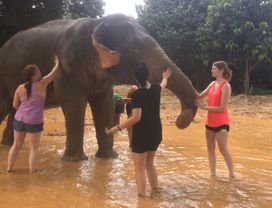 Khaosok : Bamboo Rafting and Elephant Bath!