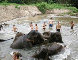 Chiang Mai Tour: Ethical Elephant Sanctuary, Hiking & Grand Canyon Chiang Mai