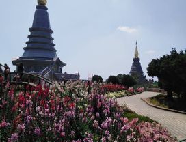 Hiking & Sightseeing Through Doi Inthanon & Tasting Coffee at the Karen Village